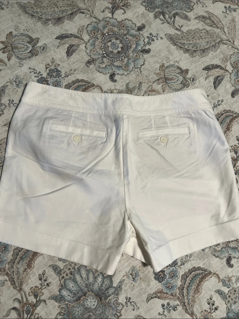 Ann Taylor ann taylor
